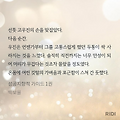댓글 첨부 이미지