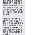 댓글 첨부 이미지