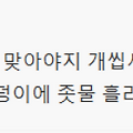 댓글 첨부 이미지