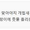 댓글 첨부 이미지
