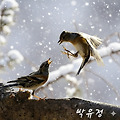 '듯도 보도 못한 말을 ' 글에 포함된 이미지