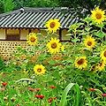 '또다시 장마인가요~천' 글에 포함된 이미지