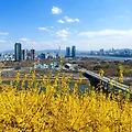 '니쁜스여성쇼핑물로 ' 글에 포함된 이미지