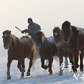 '추운 날씨에는 기분 ' 글에 포함된 이미지