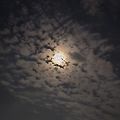 '야홋~고마워요. 제게 ' 글에 포함된 이미지