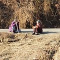 '시어머니 친정엄마 모' 글에 포함된 이미지