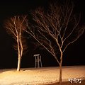 '에프용 지에 시를 써' 글에 포함된 이미지