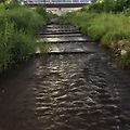 '의미심장한  물의 살~' 글에 포함된 이미지