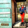 '선사인 랜드는 논산에' 글에 포함된 이미지