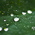 '군이었던 곳이 시로 ' 글에 포함된 이미지