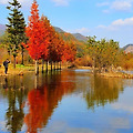 '까닭 없이 쓸쓸해지는' 글에 포함된 이미지