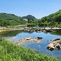 '​나무들은 나지막한 ' 글에 포함된 이미지