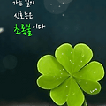 '네 잎 클로버 따면 정' 글에 포함된 이미지