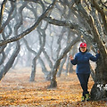 '속절없이 흘러가는 시' 글에 포함된 이미지