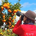 '제철에 먹는 과일 맛' 글에 포함된 이미지