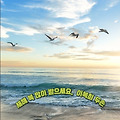'설 명절 연휴내내 행' 글에 포함된 이미지