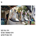 '두 분 모두 축하축하' 글에 포함된 이미지