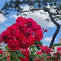 '긋지 말자, 그 선을.' 글에 포함된 이미지