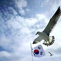 '오늘은 봄다운 날씨였' 글에 포함된 이미지