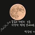 '보름달 보며 소원 비' 글에 포함된 이미지