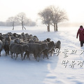 '오늘의 날씨 맑음 적' 글에 포함된 이미지
