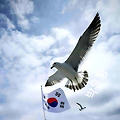 '깃발에는 여러 종류가' 글에 포함된 이미지