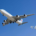 '디즈니랜드 리조트가 ' 글에 포함된 이미지