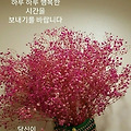 '' 글에 포함된 이미지