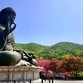 '오늘은 선한 보살님처' 글에 포함된 이미지