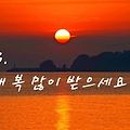 '새해 복 많이 받으세' 글에 포함된 이미지