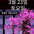 '만리포 해수욕장~~(장' 글에 포함된 이미지