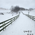 '찬바람이 불고눈비가 ' 글에 포함된 이미지