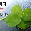 '에젯 밤에는깨어 있는' 글에 포함된 이미지