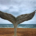 '비가와도 좋아 눈이 ' 글에 포함된 이미지