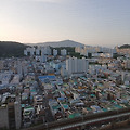 '다 사는 모습이 똑 같' 글에 포함된 이미지