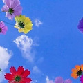 '런닝 바람으로 나온 ' 글에 포함된 이미지