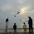 '분명 그건 우리들의 ' 글에 포함된 이미지