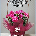 '춤출 일없고 노래 부' 글에 포함된 이미지