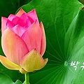 '시산맥에서 시집을 발' 글에 포함된 이미지