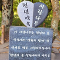 '아득한 것 같지만 시' 글에 포함된 이미지