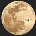 '기억속의 얼굴 하나 ' 글에 포함된 이미지