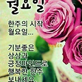 댓글 첨부 이미지