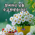 댓글 첨부 이미지