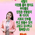 댓글 첨부 이미지