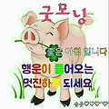 '       문우님들 ....' 글에 포함된 이미지