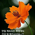 '       문우님들 ....' 글에 포함된 이미지