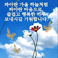 '       문우님들 ....' 글에 포함된 이미지