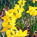 '     문우님들   ....' 글에 포함된 이미지