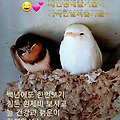 '       문우님들 ....' 글에 포함된 이미지