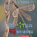 '       문우님들 ....' 글에 포함된 이미지